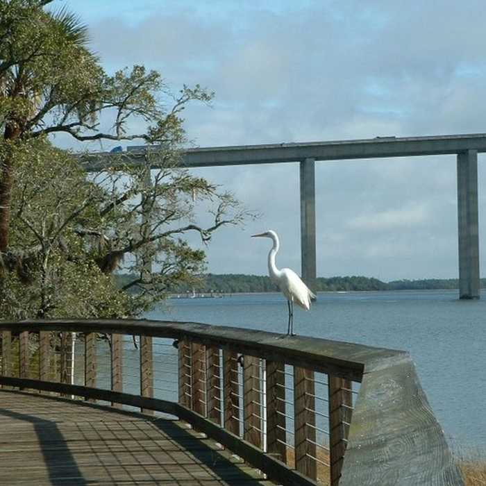 Near Daniel Island Waterfront Trail