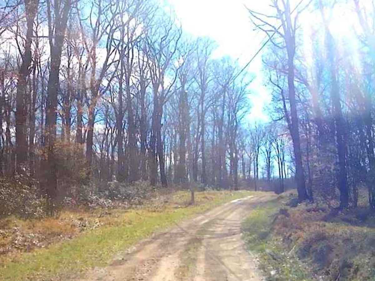 Weilder Road photo 4