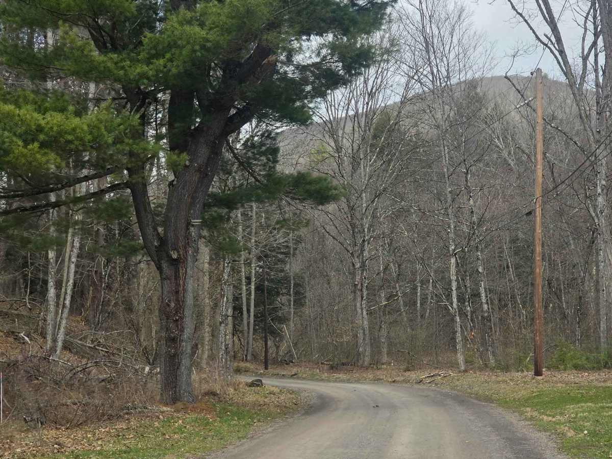 Straight Run Road photo 2
