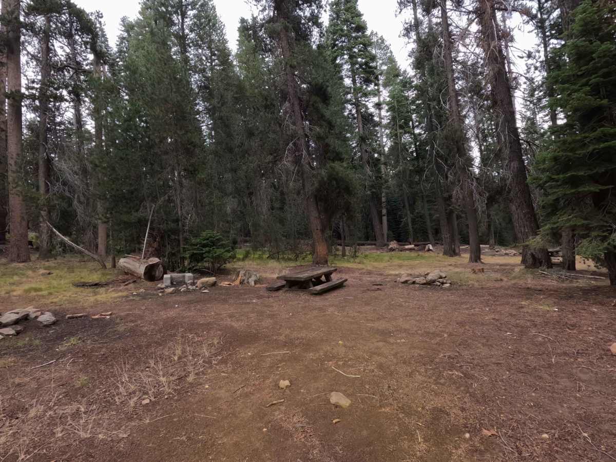 East Fork Chiquito Creek - FS 5S011 photo 4