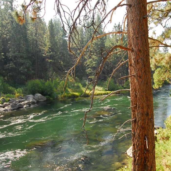 Near Deschutes River Trail, South Canyon Reach