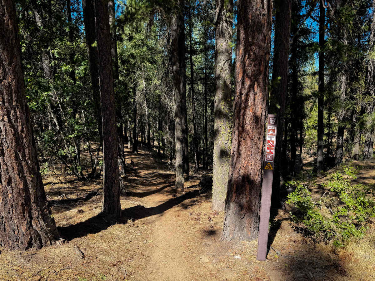 Huffleberry photo 2