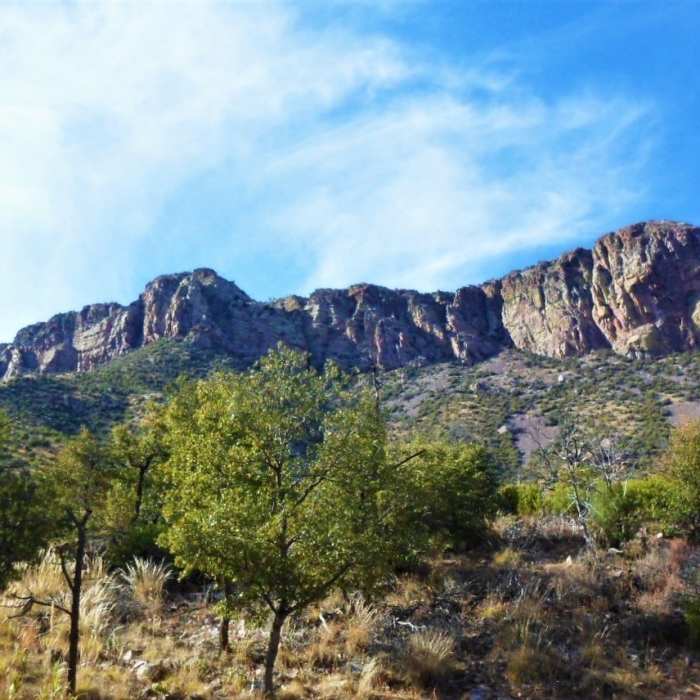 Near Clark Spring Trail #124 Out-and-Back