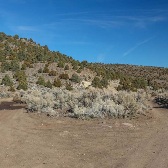 Near Virginia Highlands Plane Wreck Site Hike