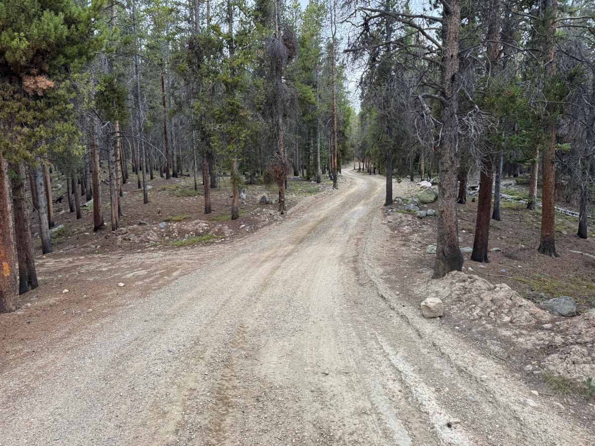 Wurts Ditch Road photo 3