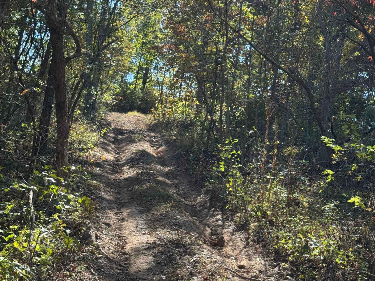 Buckbeak trail photo