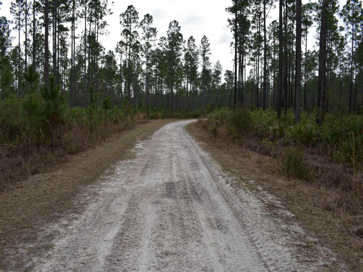 FR 278-B photo 4