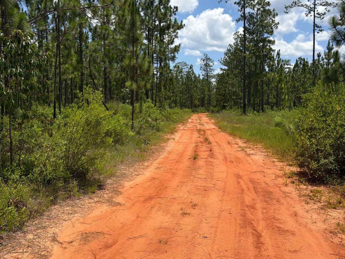 FS F10 trail photo