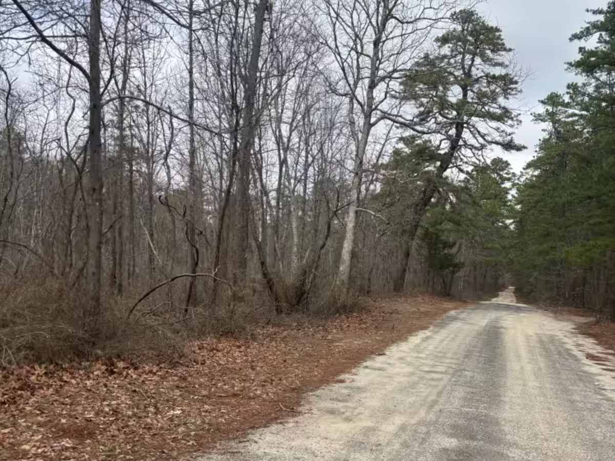 Dutch town to Burnt mill road  photo 3