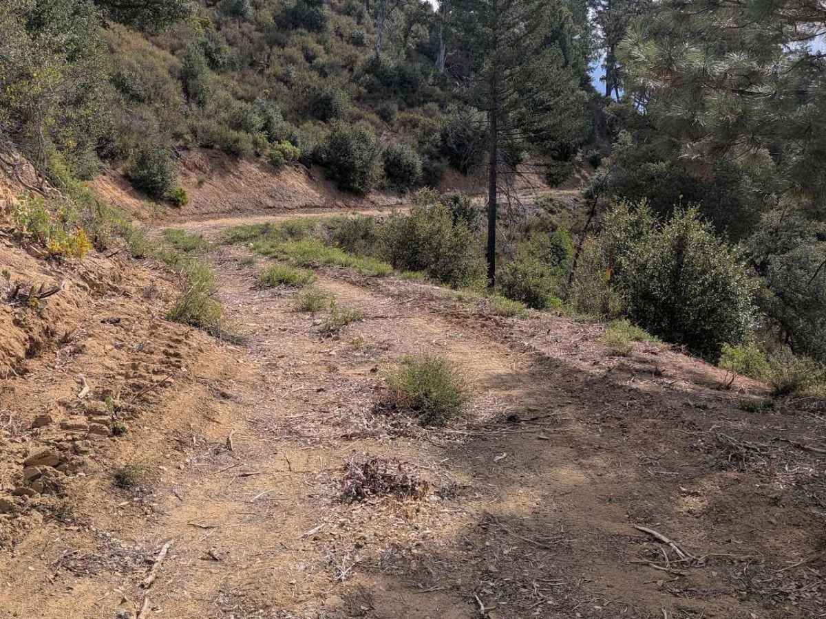 Crewcut Road - FS 4N04 trail photo