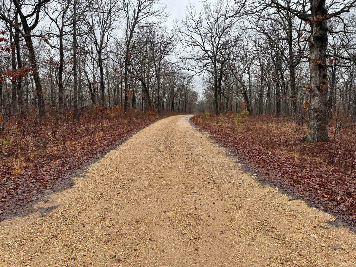 FS 1530 trail photo