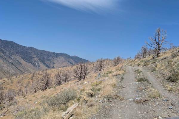 Napoleon Canyon Road - FS 32092