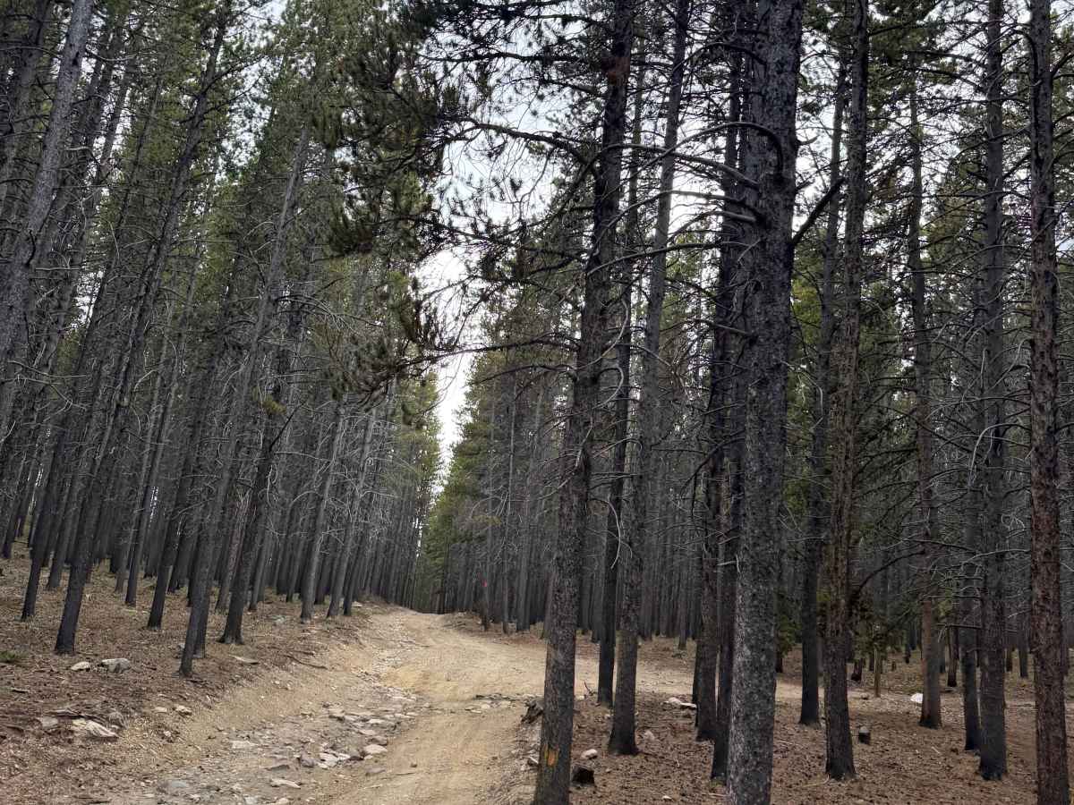 South Clear Creek Trail  photo 5