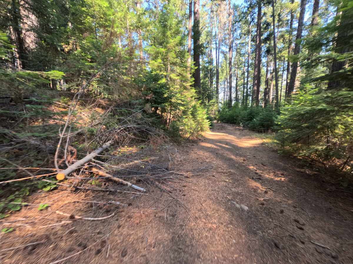 Moores Flat Diggings - FS 833-008 trail photo