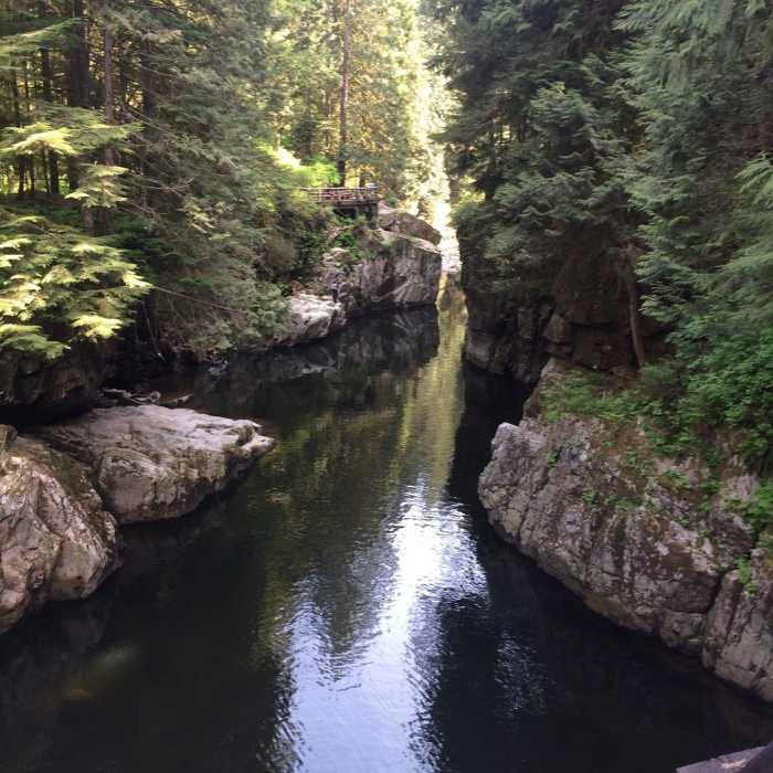 Near Coho Loop Trail