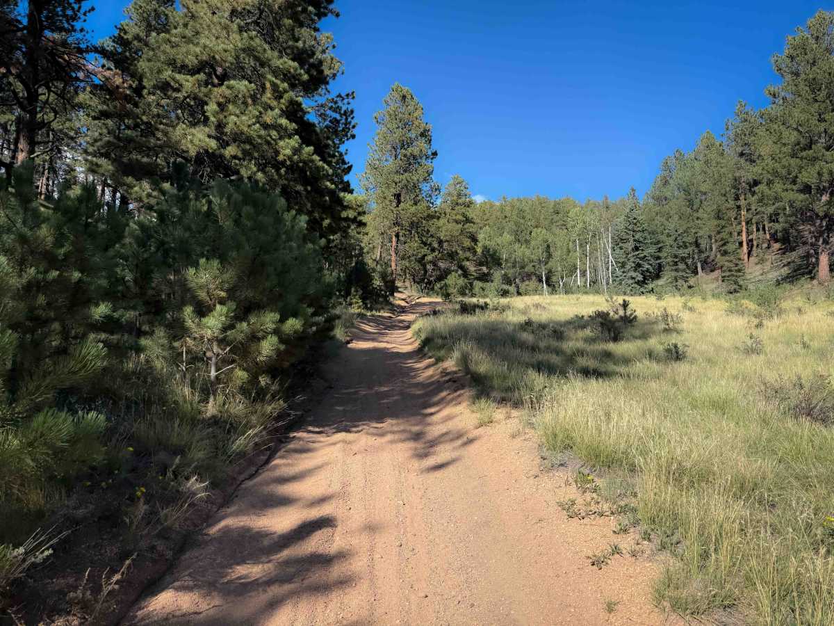 Rule Spur Trail - FS 717A  photo 6