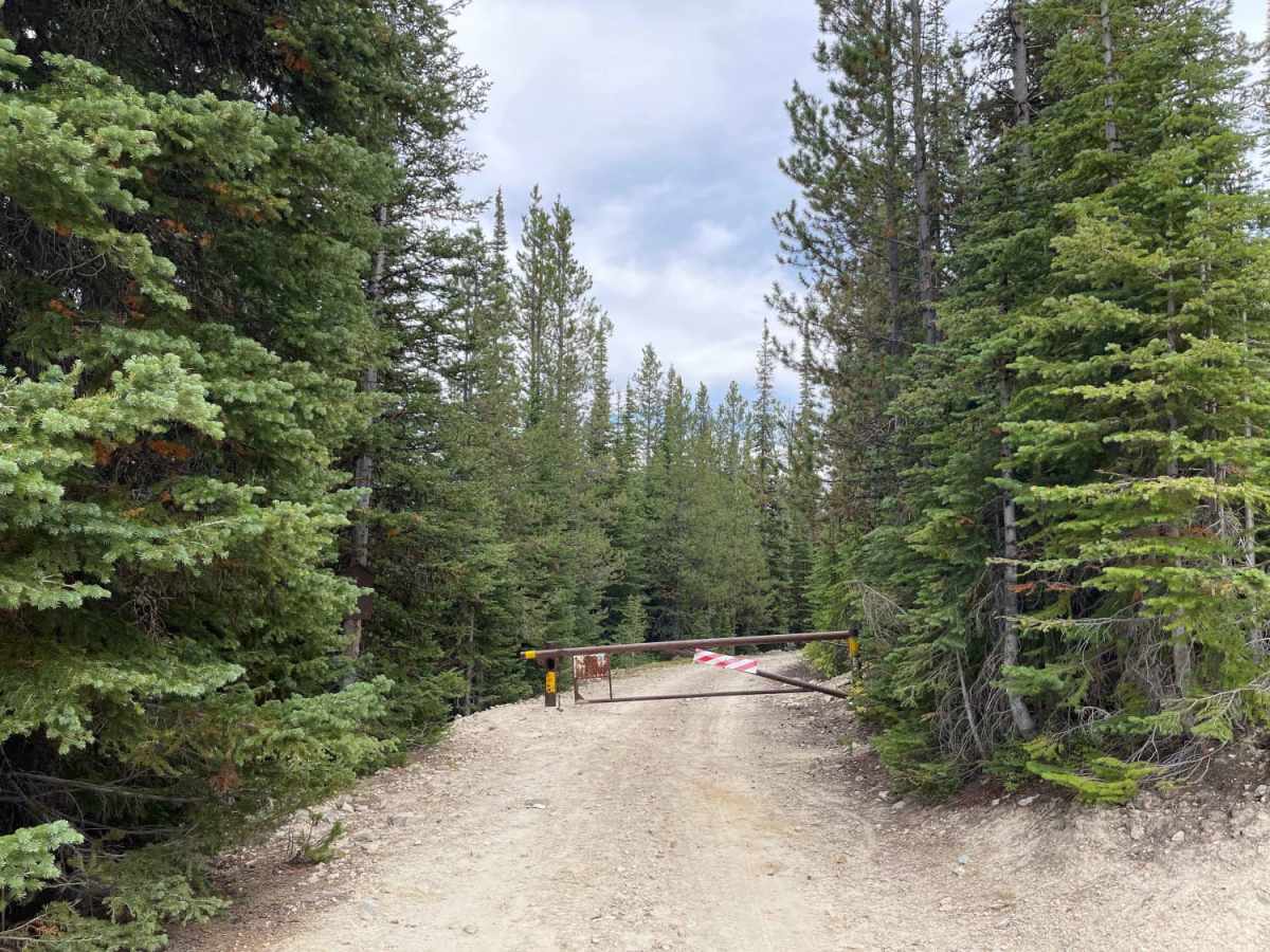 Willow Mountain to Burnt Fork Lake Hiking trail photo 4