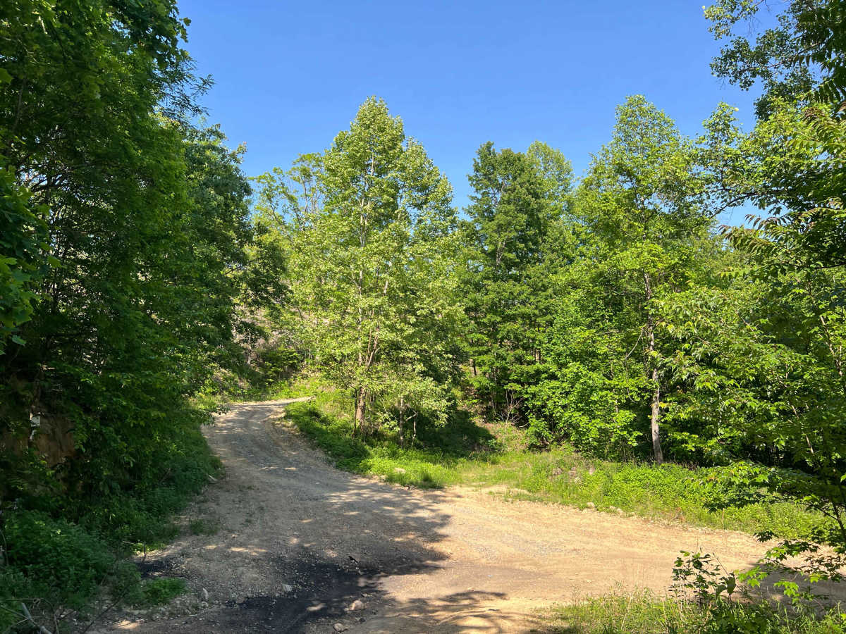 KC15 trail photo