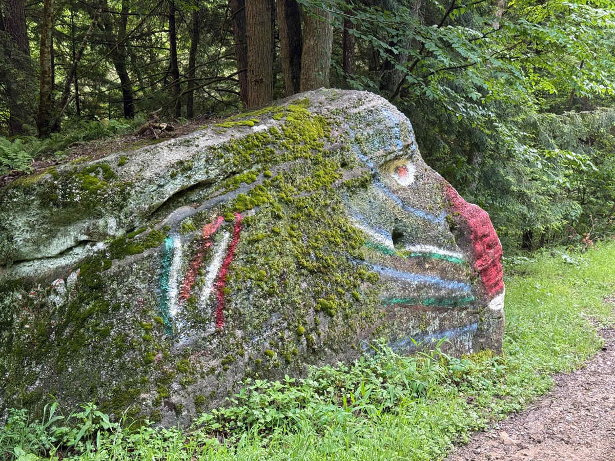 Ross Run Road - FS 85116A photo 5