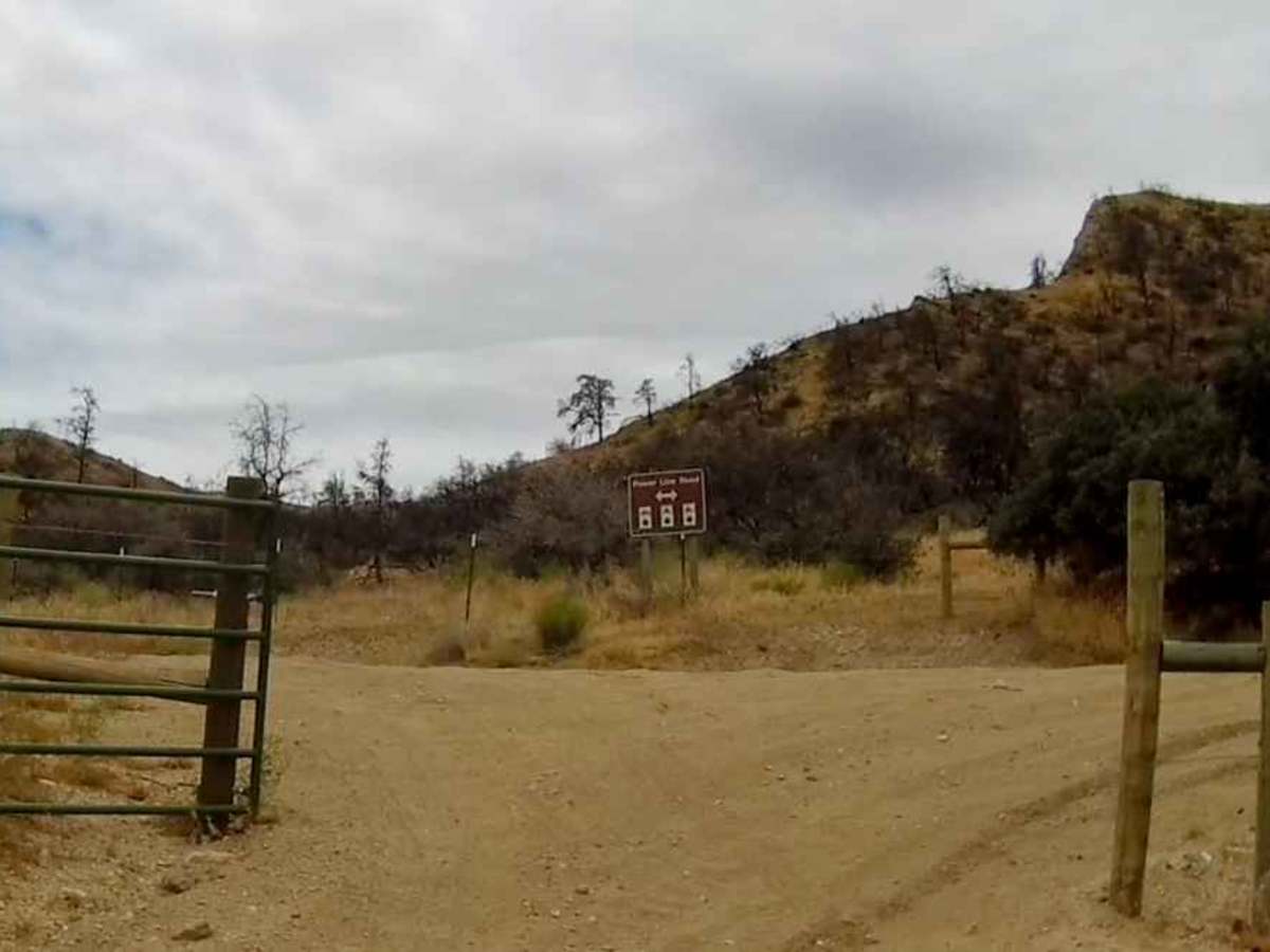 Salt Lick Trail photo 2