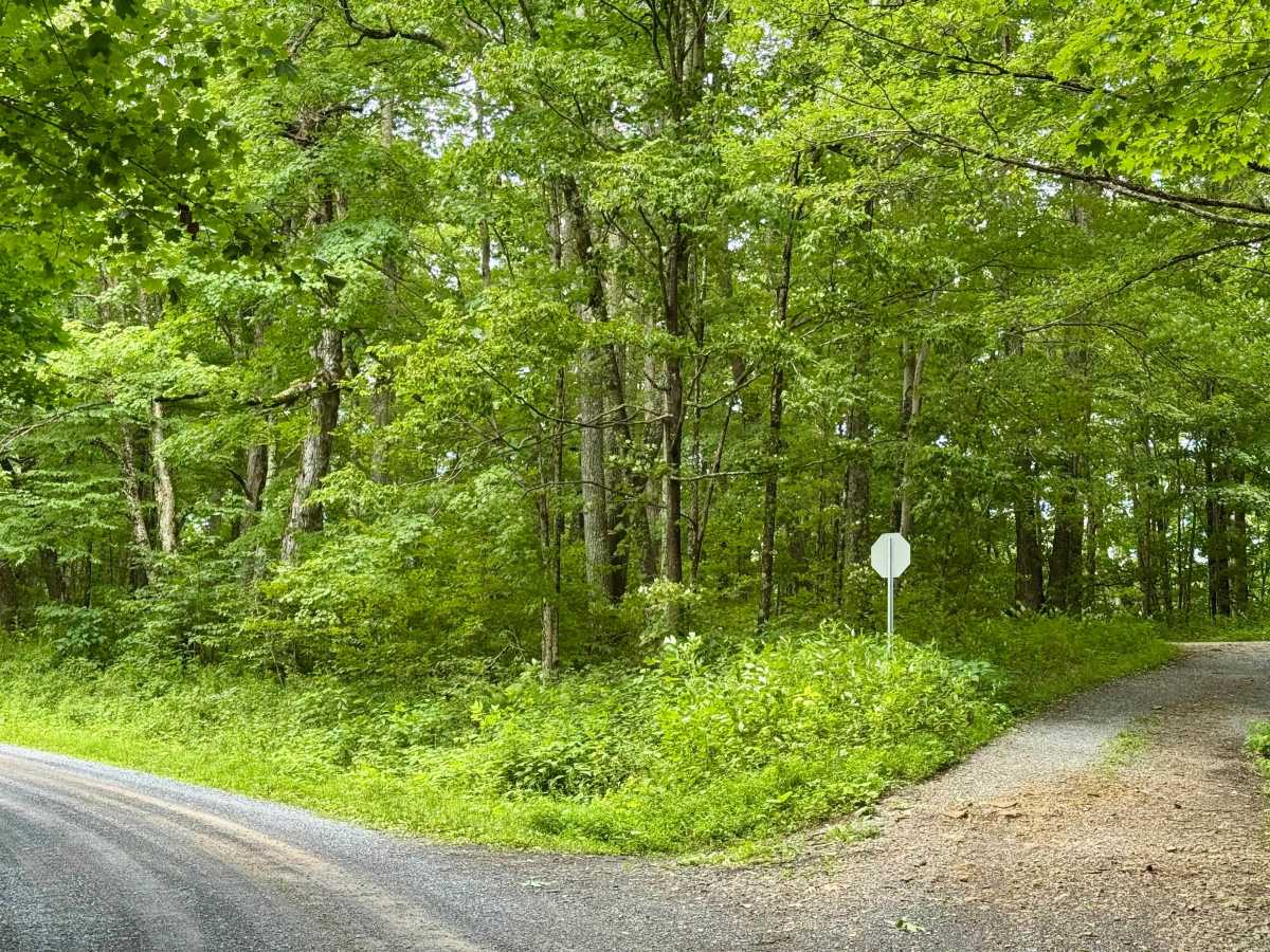 Red Oak - FS 82 trail photo
