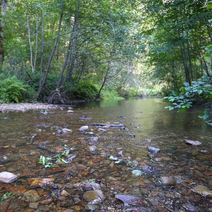 Near Skyline To The Sea Loop
