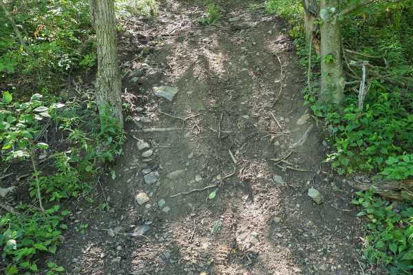 Single Track V