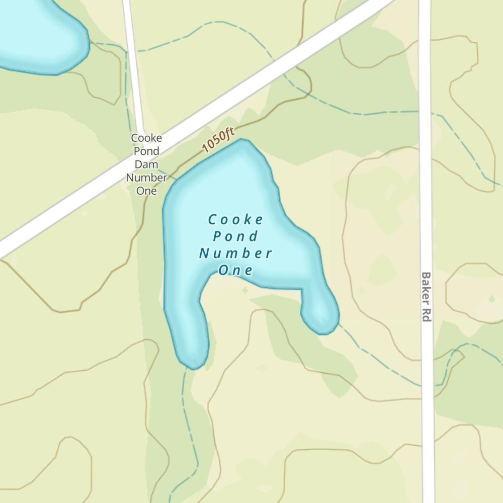 Cooke Pond Number One