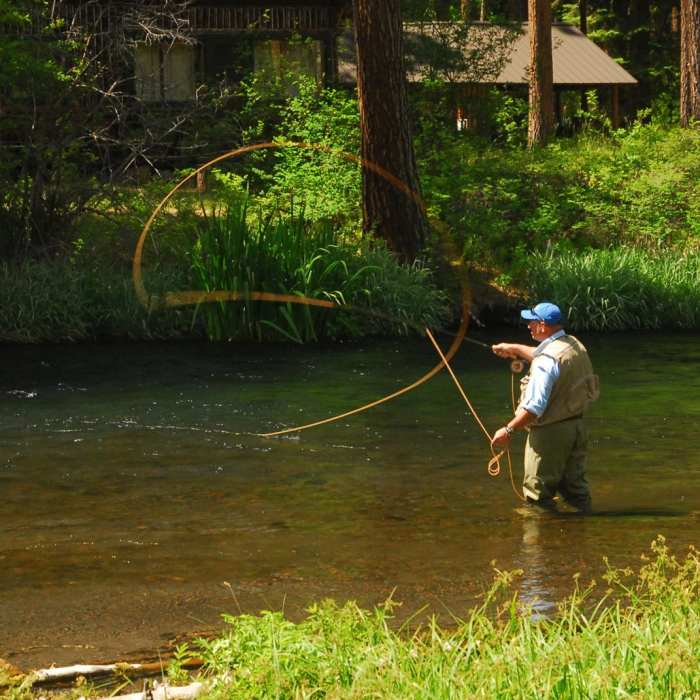 Near Metolius River Trail