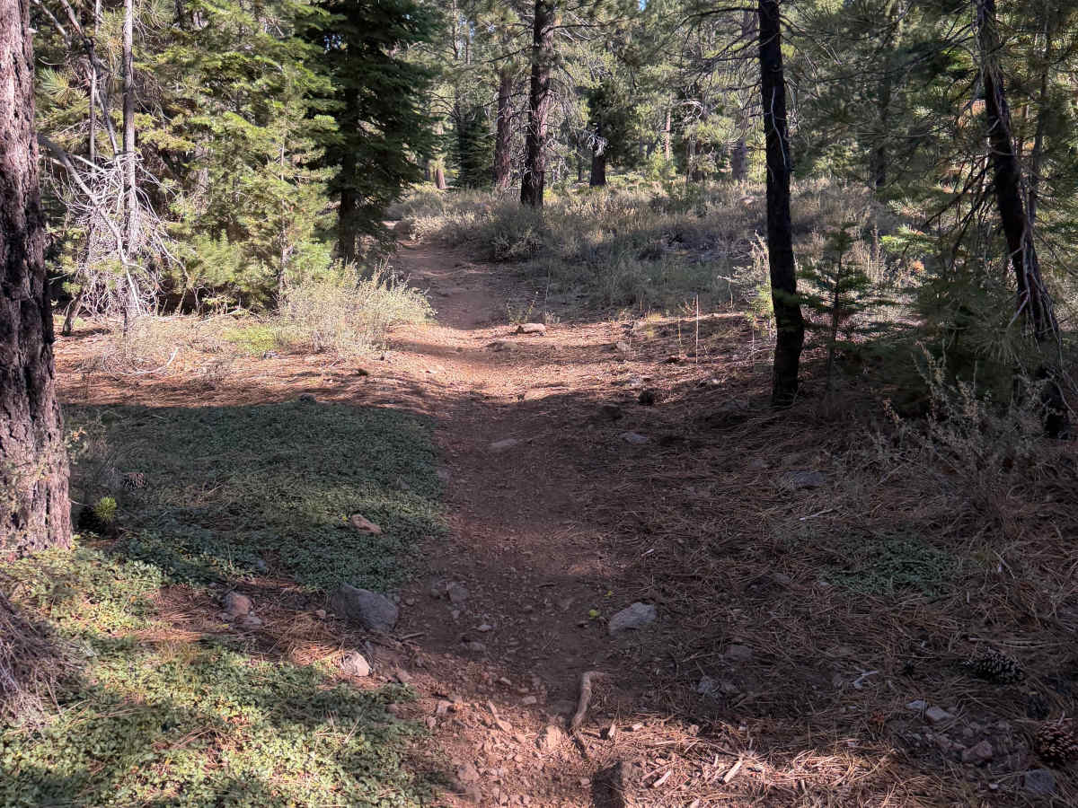 06-08 East Moto Trail photo 3