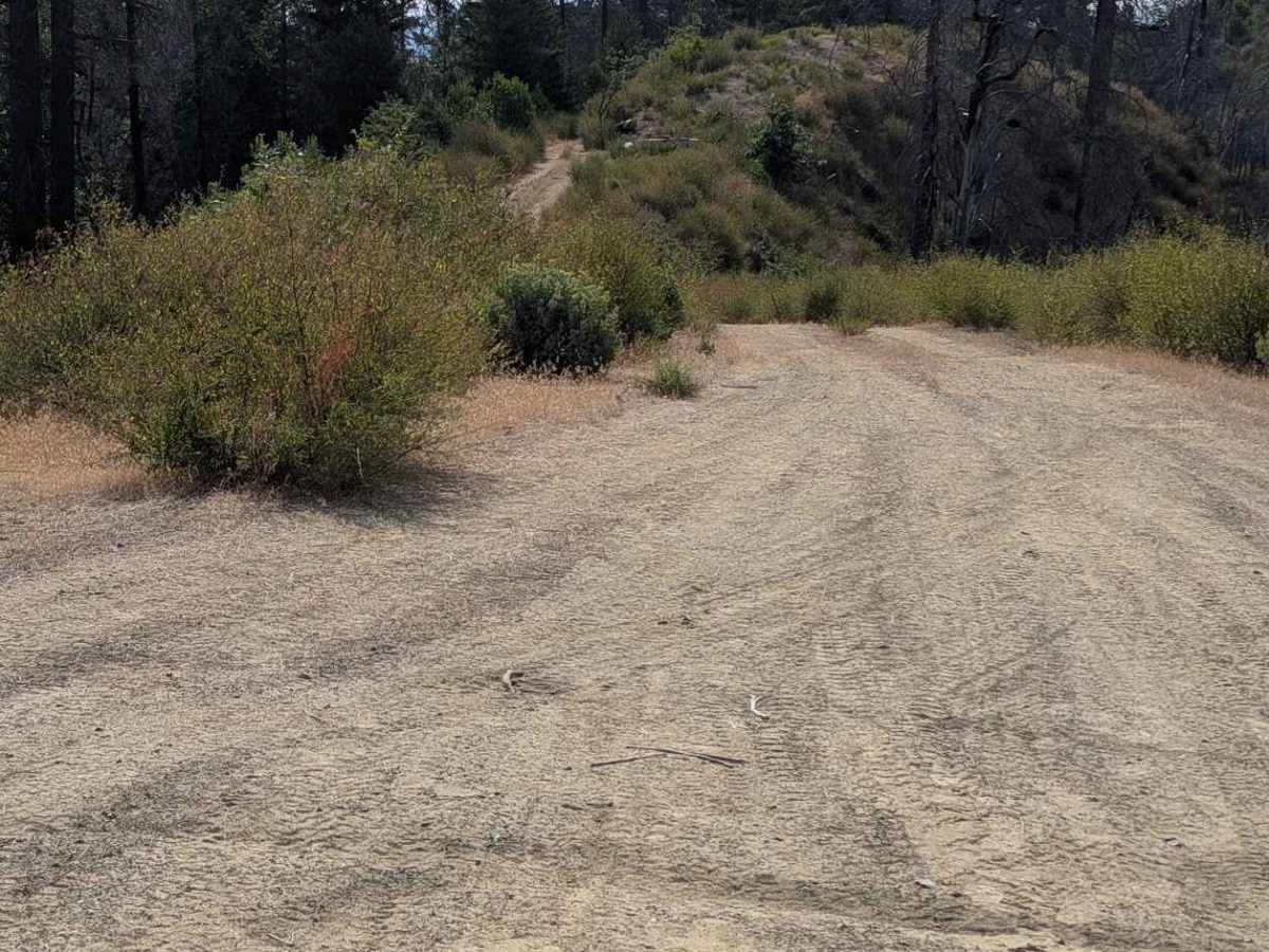 Little Creek Road - FS 32N16 trail photo