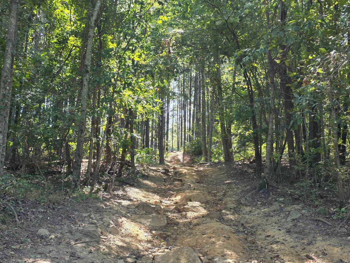 Power Line Trail  photo 5