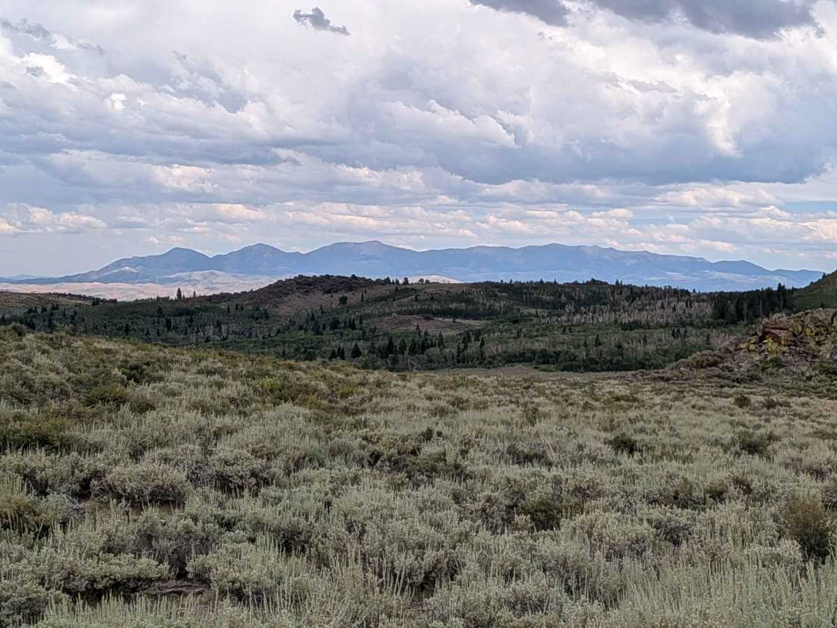 Shepherd Road - FS 31354 photo 3