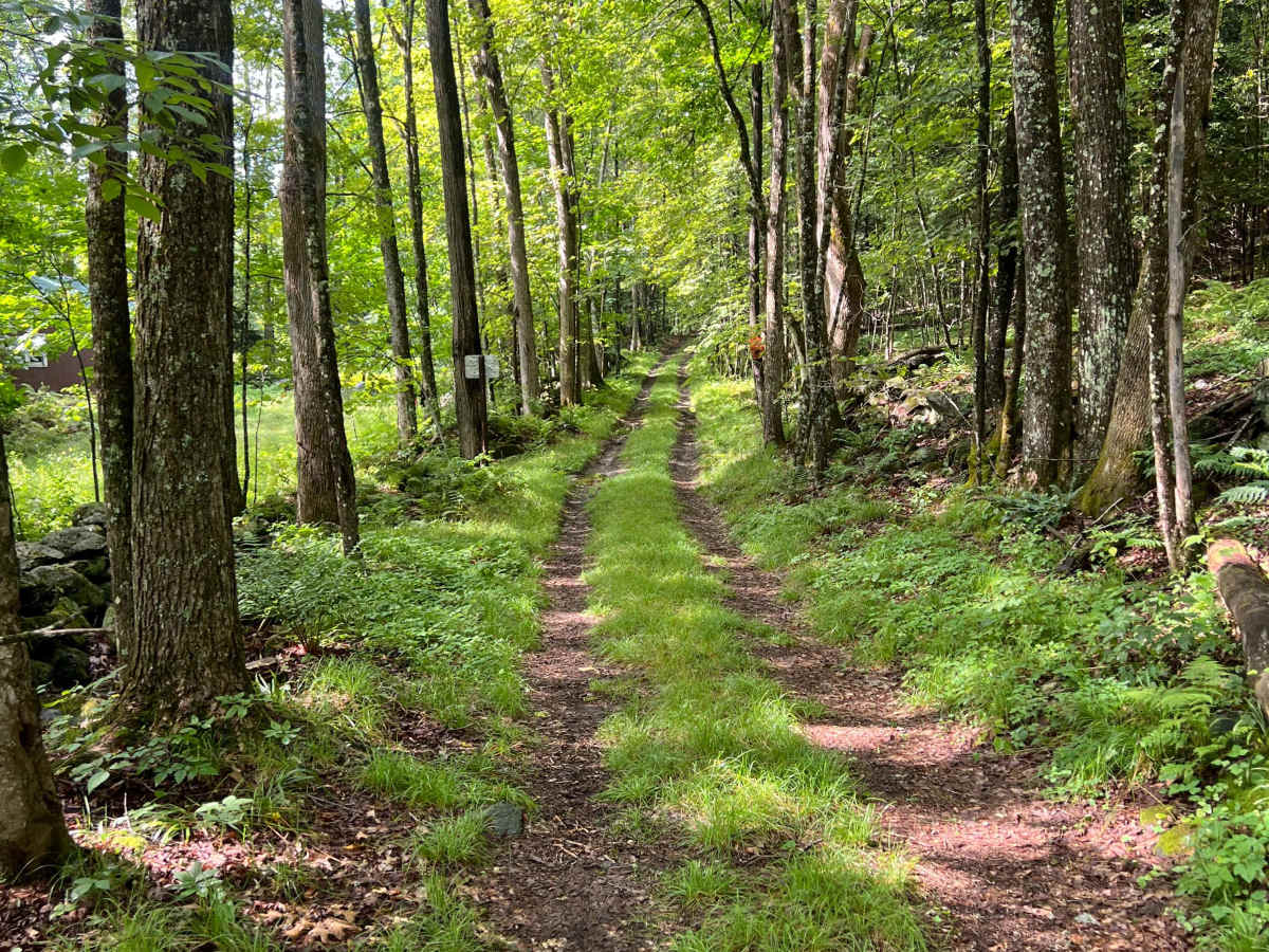 Porter Road photo 6