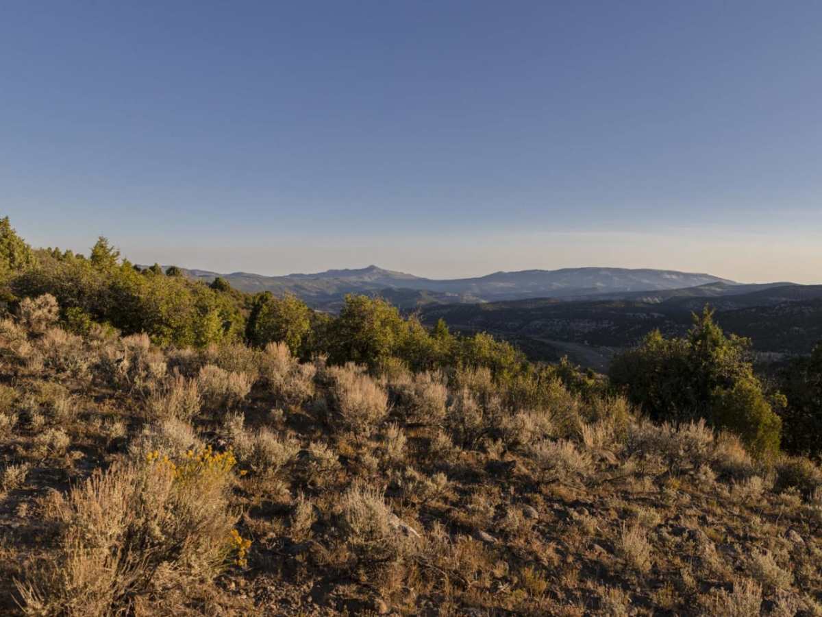 Meadow Gulch Trail photo 6