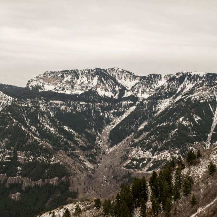 Near Preston Valley Trail