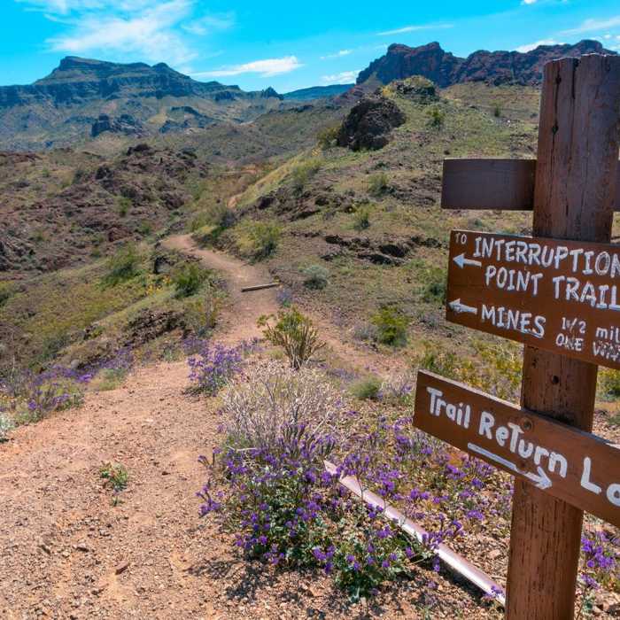 Near Buckskin Loop Trail Near Buckskin Loop Trail