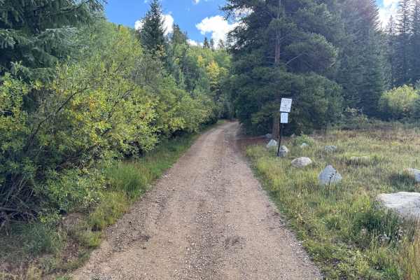 Gold Run Gulch Road