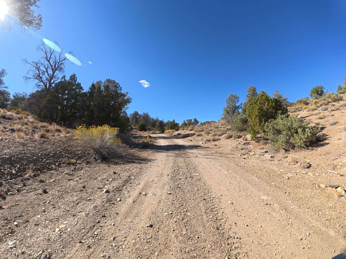 Carma Loop photo 5