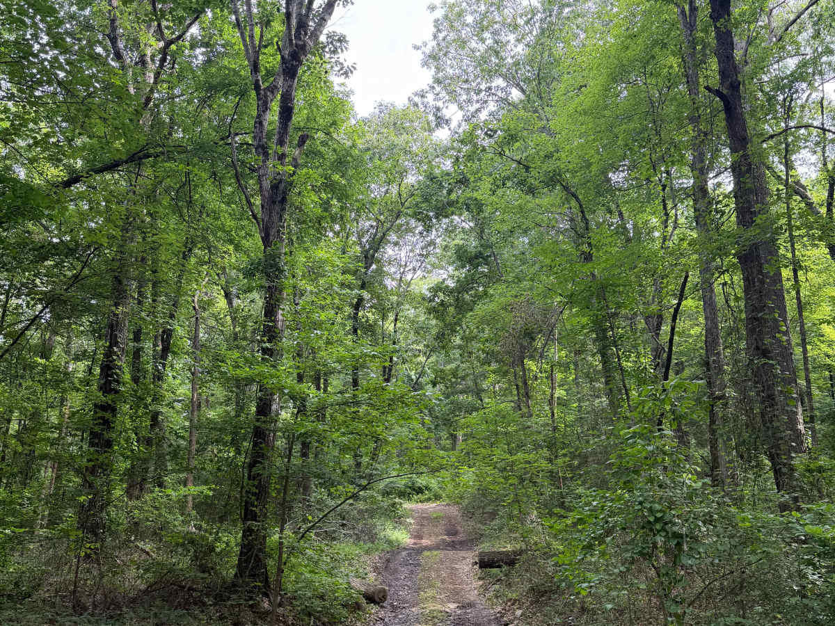 Rocky Ledge photo 5