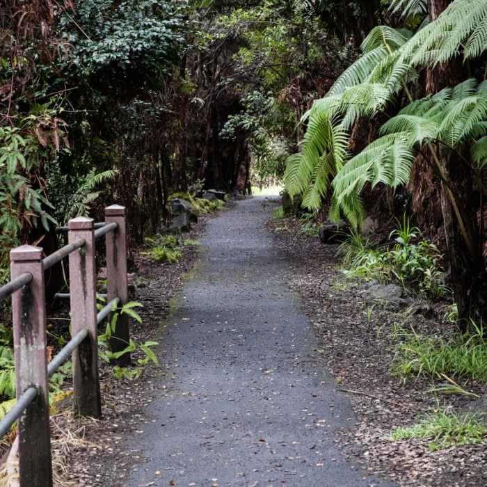 Near Sulphur Banks + Crater Rim Trail Loop
