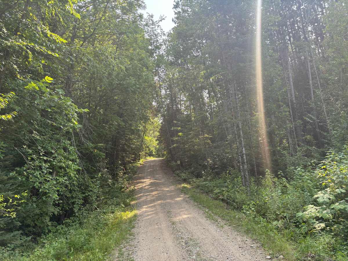 North Smokey Hills Forest Road photo 5