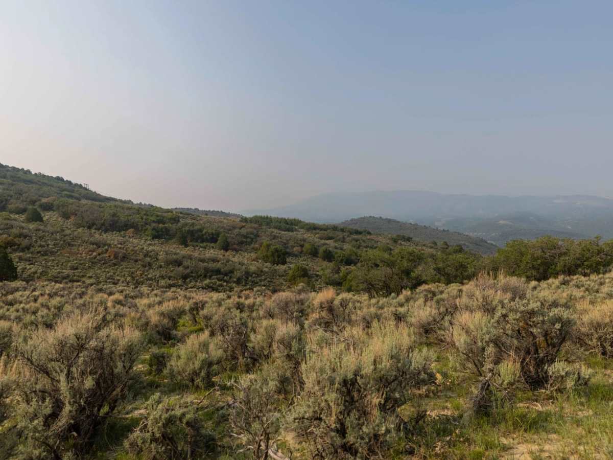 Wide Hollow photo 2