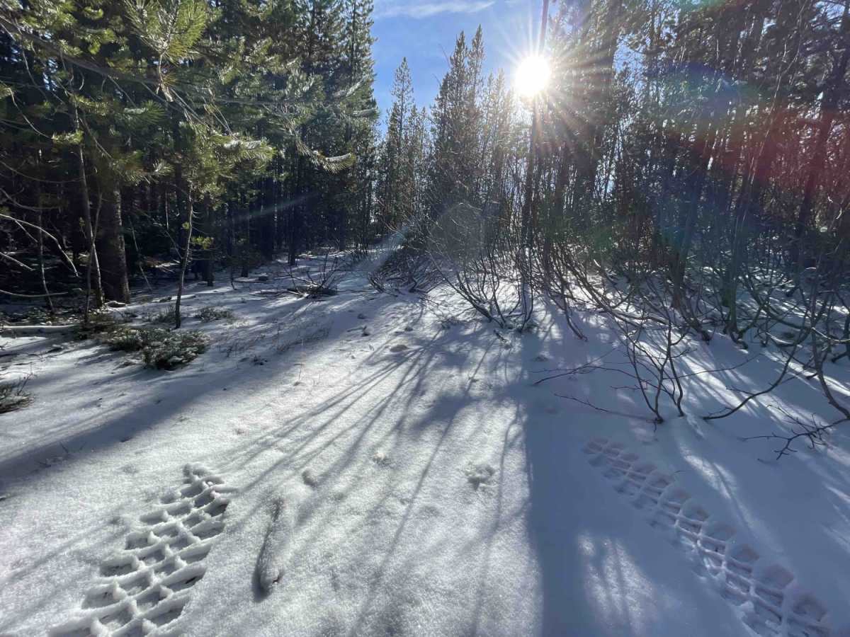 Coal Creek ATV/UTV photo 4
