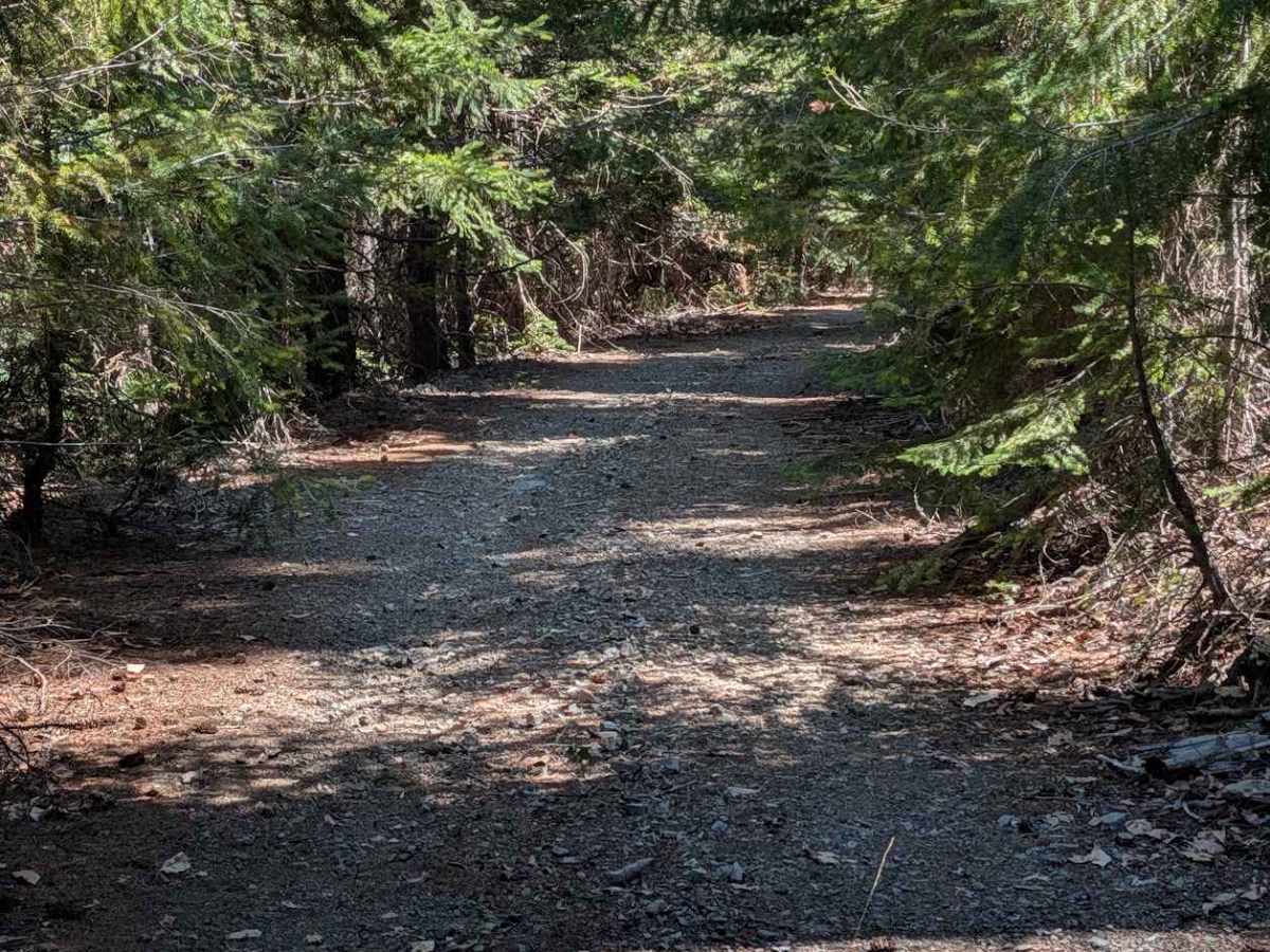 Eagle Road - FS 4N32 photo 6
