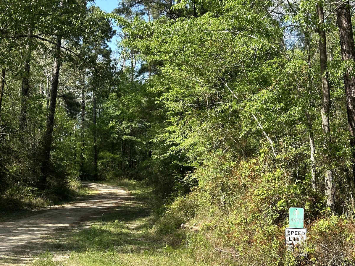 Stubblefield Church trail photo