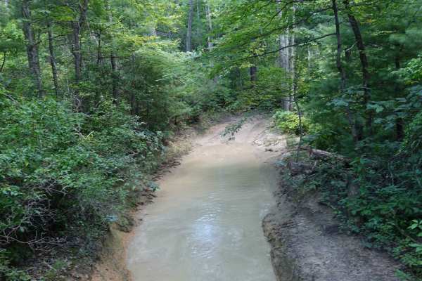 Shad Road