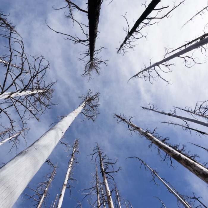 Near Vista Ridge Trail Hike