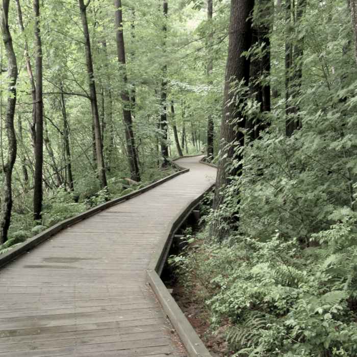 Near Livingstong Park Loop