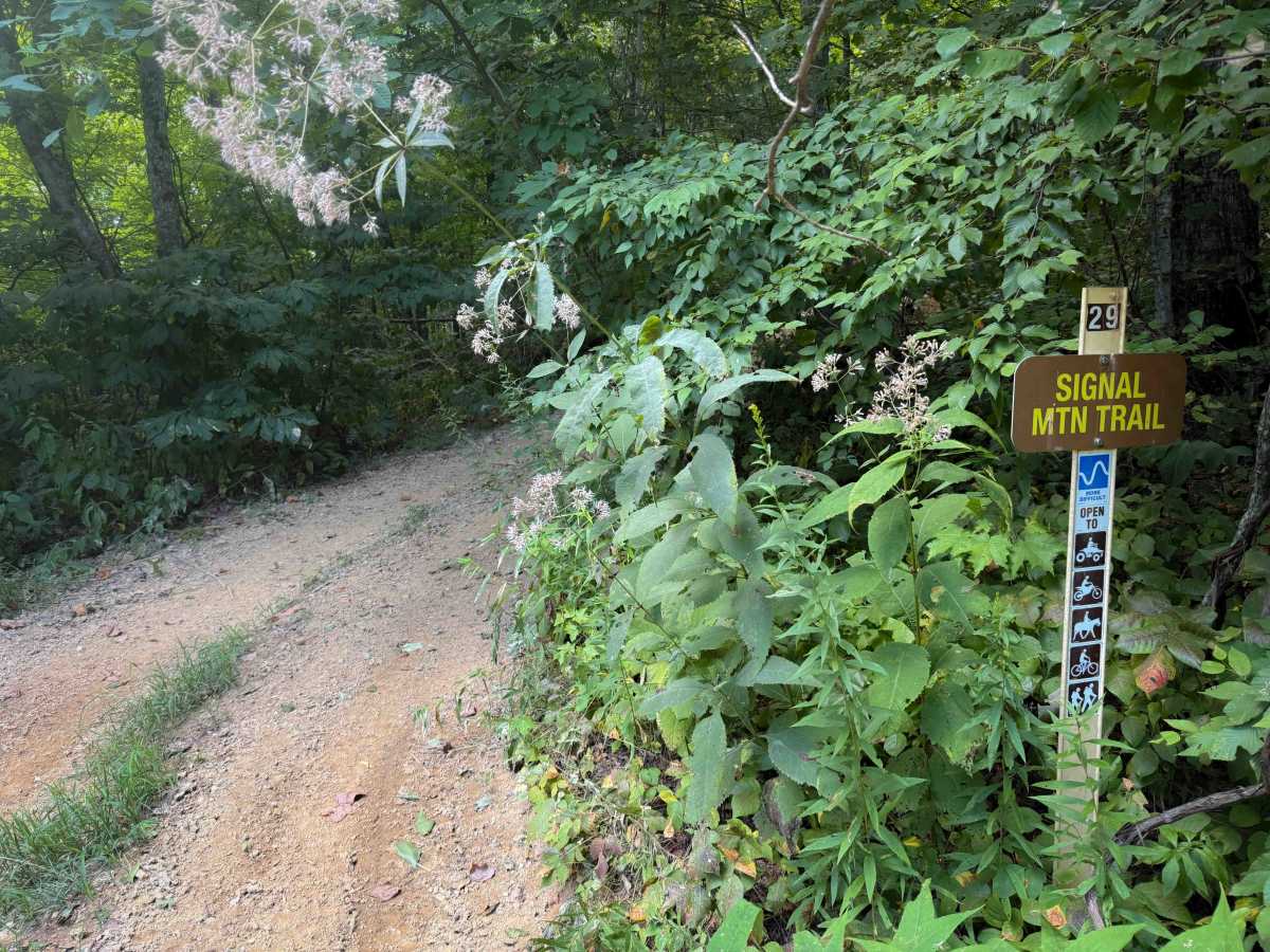 Signal Mountain Trail 29   photo 4